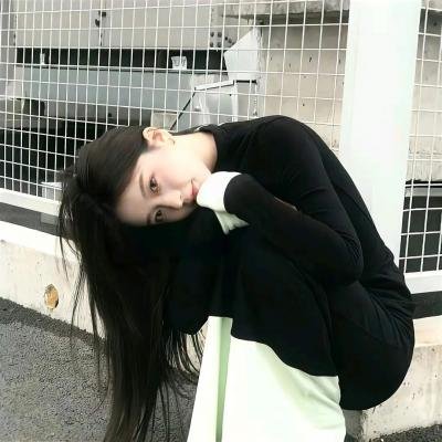 绽放的玫瑰